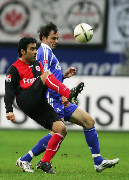 与重建成果 与重建成果