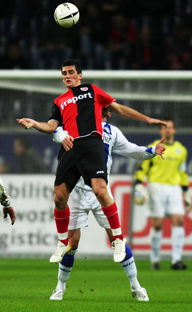 在文中强调 在文中强调